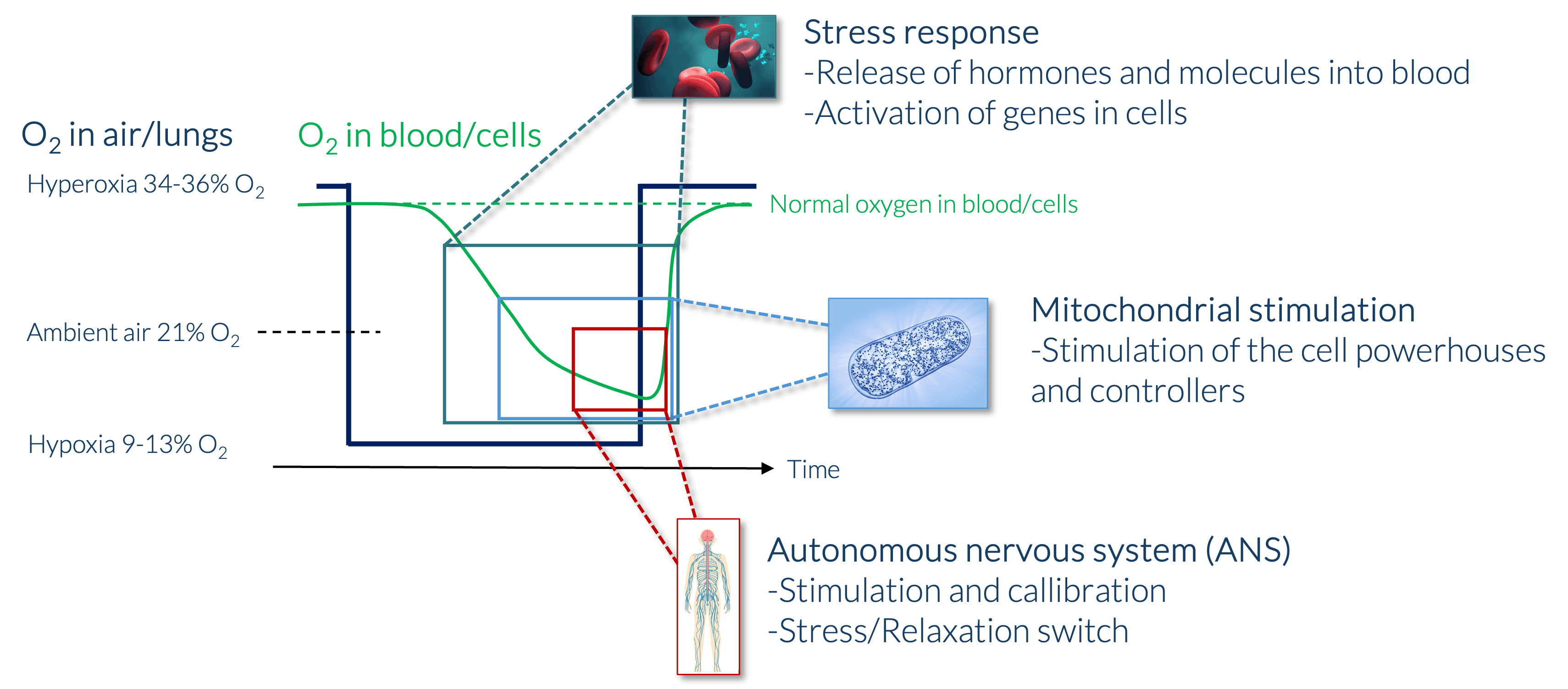Måleparametre og fysiologisk tracking